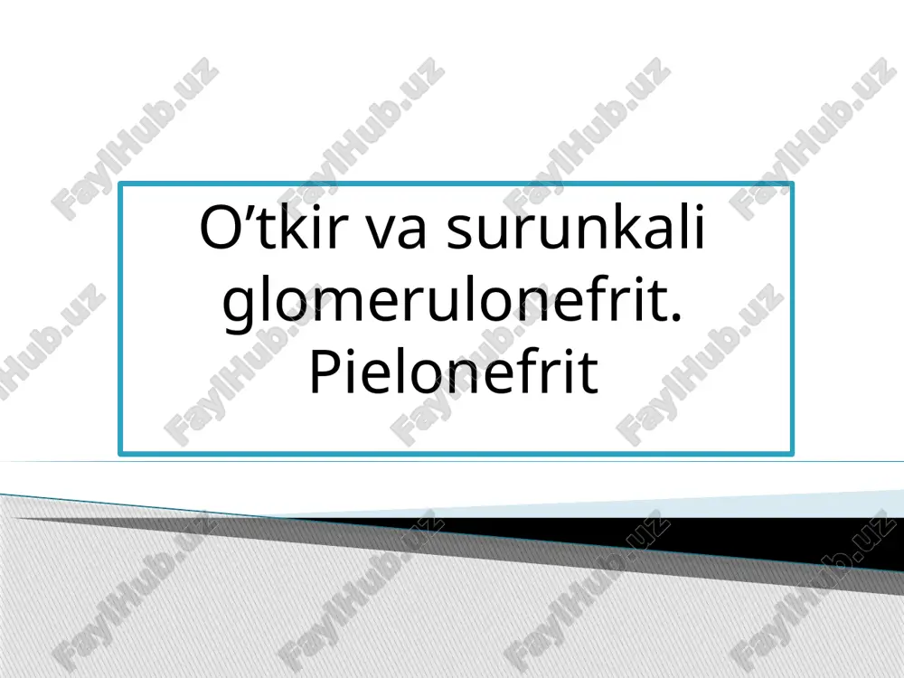 o'tkir va surunkali glomerulo nefrit.pielonefrit — PPTX