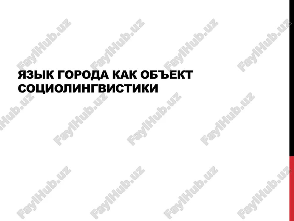 yazik goroda kak ob'ekt sotsiolingvistiki — PPTX