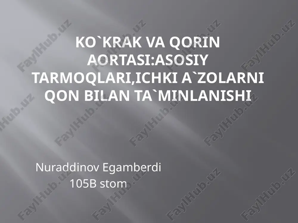 kõkrak va qorin aortasi anatomiyasi pptx — PPTX