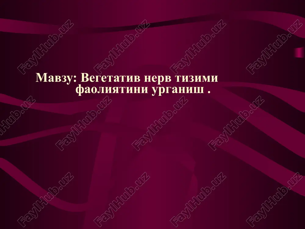 vegetativ nerv tizimi faoliyatini urganish — PPTX