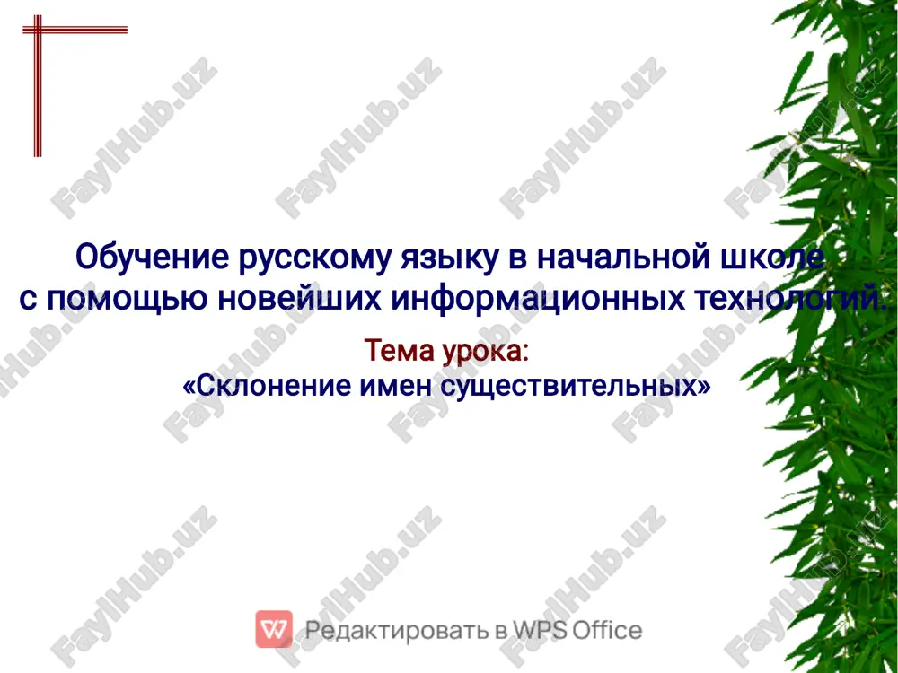 skloneniye imyon sushestvitelnykh — PDF