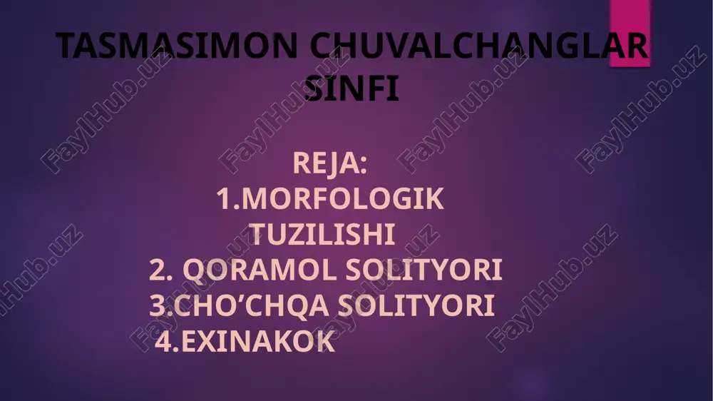 tasmasimon chuvalchanglar sinfi — PPTX