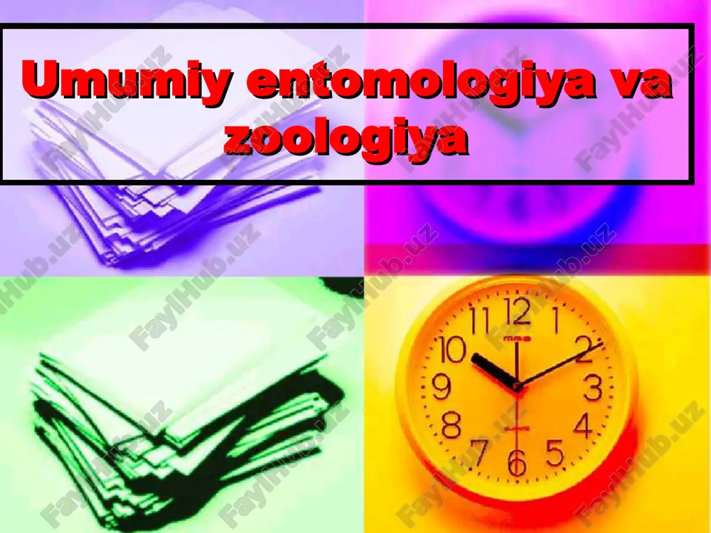 umumiy entomologiya va zoologiya — PPT