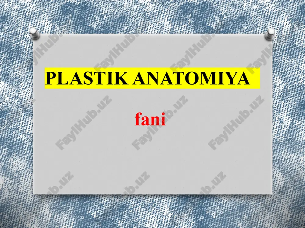 plastik anatomiya — PPTX