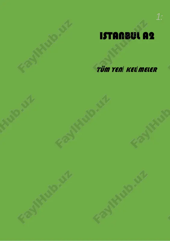 istanbul a2 tüm yeni̇ keli̇meler — PDF