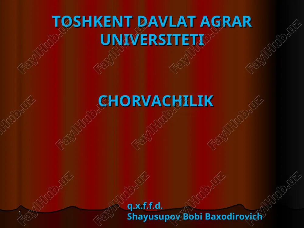 chorvachilik — PPT