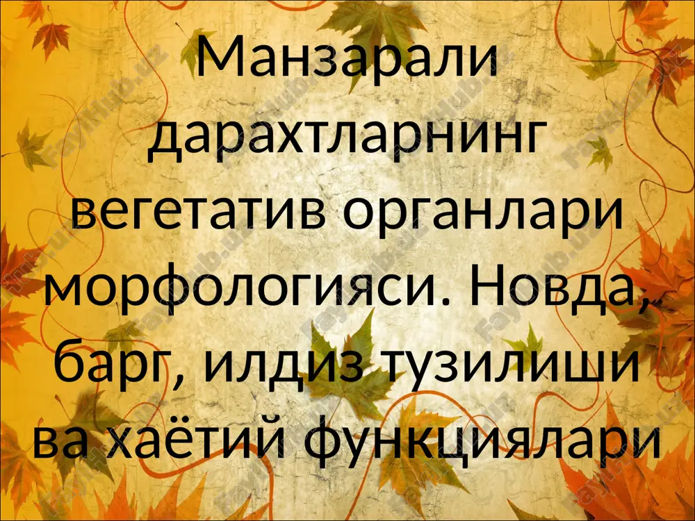 daraxtlarning vegetativ organlari morfologiyasi — PPTX