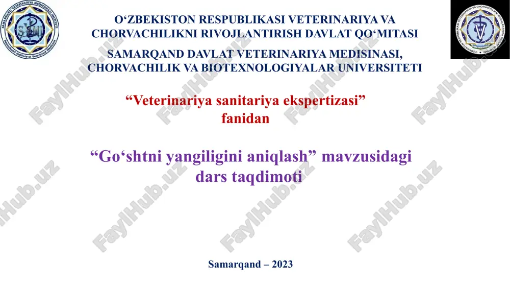 "go‘shtni yangiligini aniqlash" — PPTX