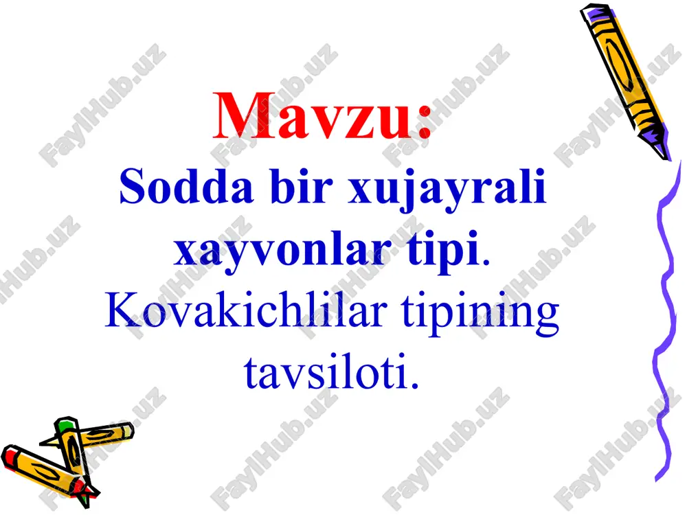 kovakichlilar tipi hayvonlar — PPT