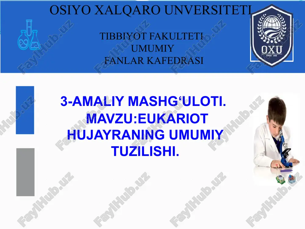 eukariot hujayraning umumiy tuzilishi — PPTX
