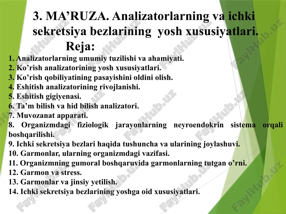 ma’ruza. analizatorlarning va ichki sekretsiya bezlarining yosh xususiyatlari — PPTX