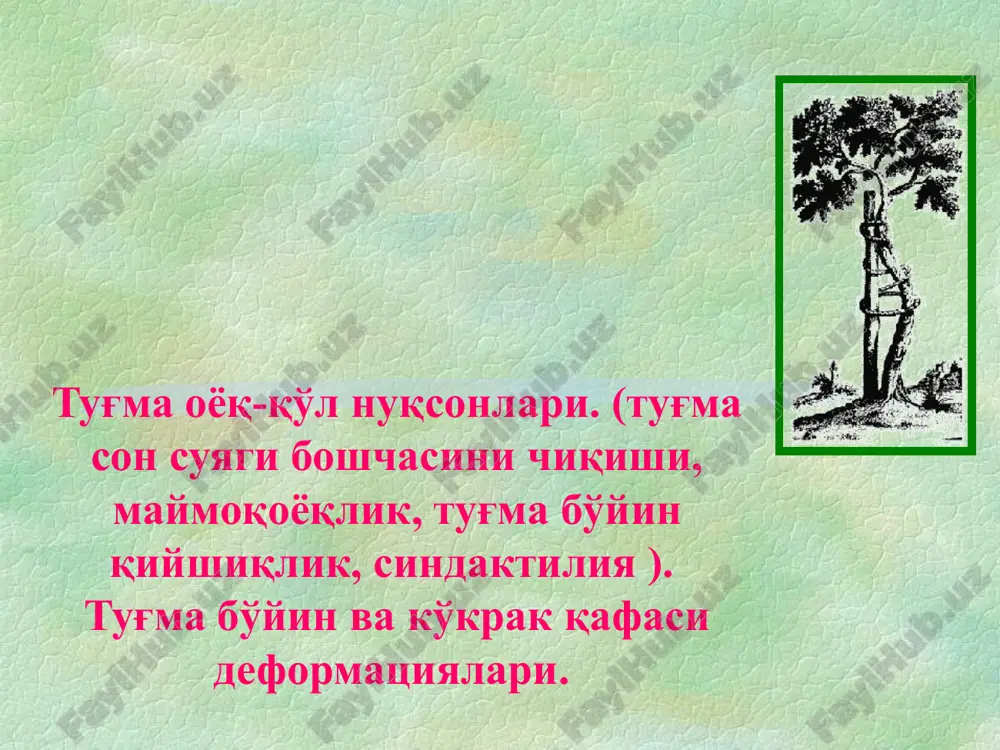 tuğma o'yog‘-qo‘l nuqsonlari — PPT