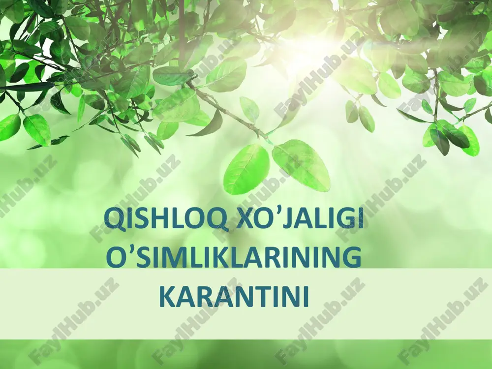 o'simliklar karantini mavzusi — PPTX