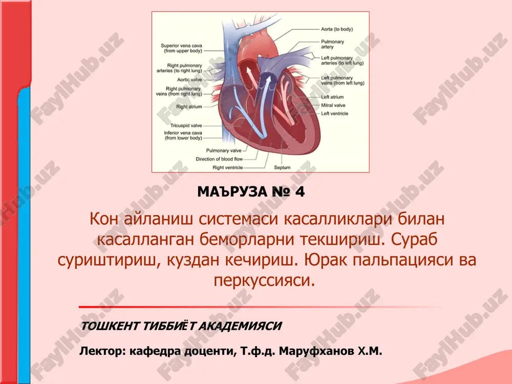 kon aylanish sistemasi bilan kasalliklarni tekshirish — PPT