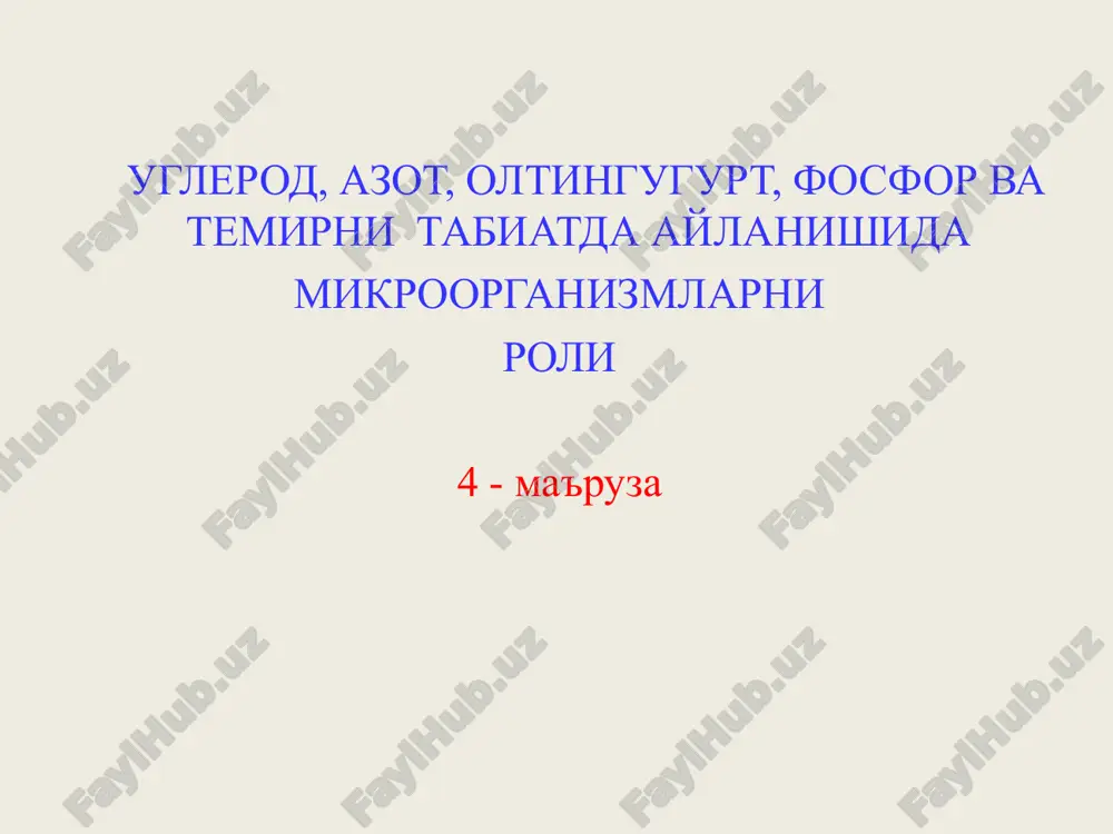 mikroorganizmlar roli — PPT