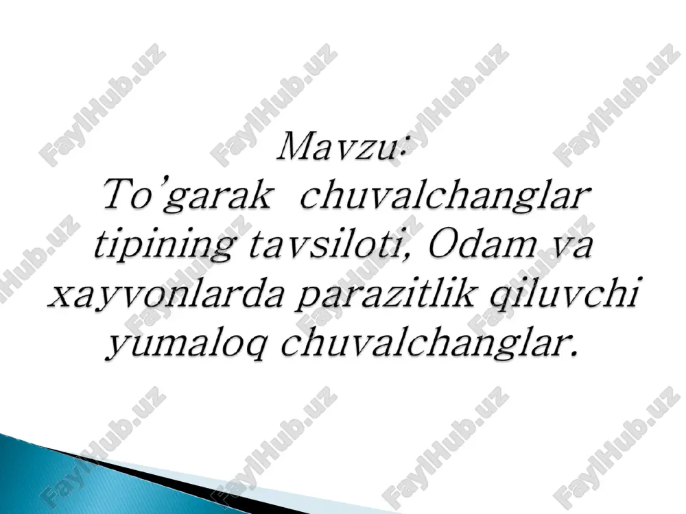 to'garak chuvalchanglar — PPT