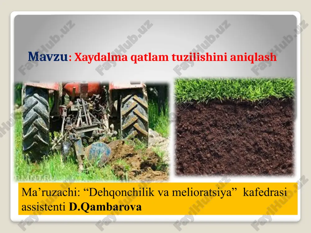 xaydalmaqatlam tuzilishini aniqlash — PPTX