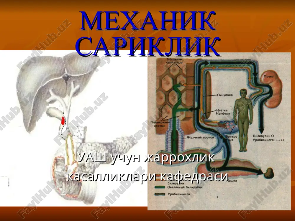 mexaniksariklik — PPT