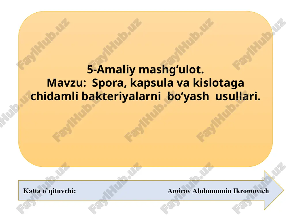 amaliymashg’ulot — PPTX