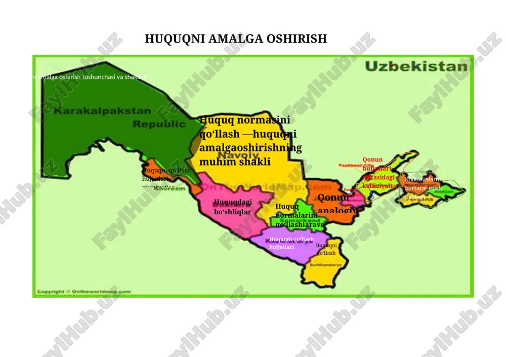 huquqni amalga oshirish — DOCX
