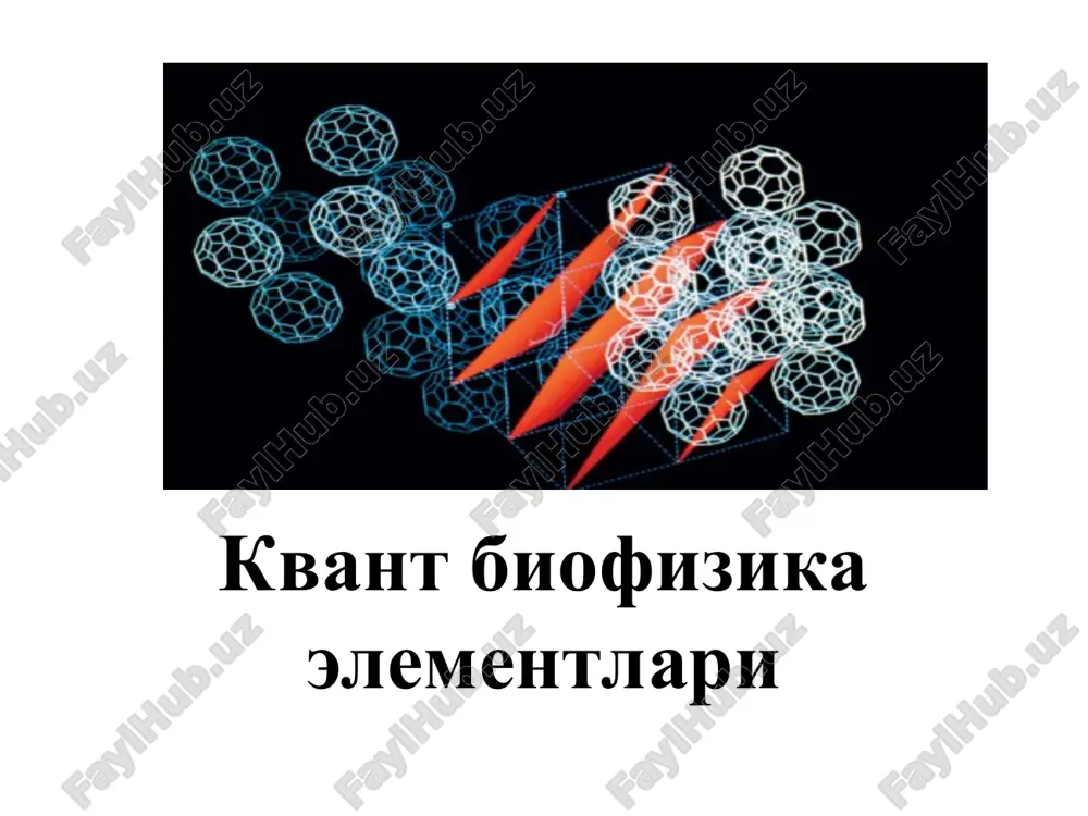 kvant biofizika elementlari — PPT