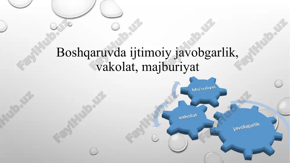 vakolat va javobgarlik — PPTX