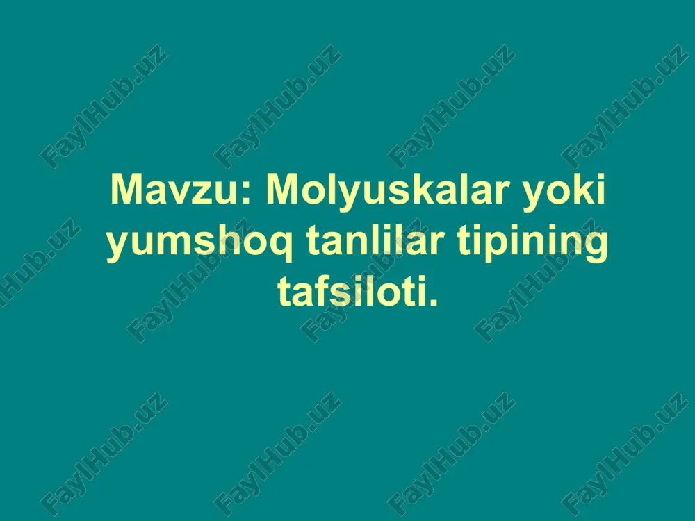 molyuskalar haqida — PPT