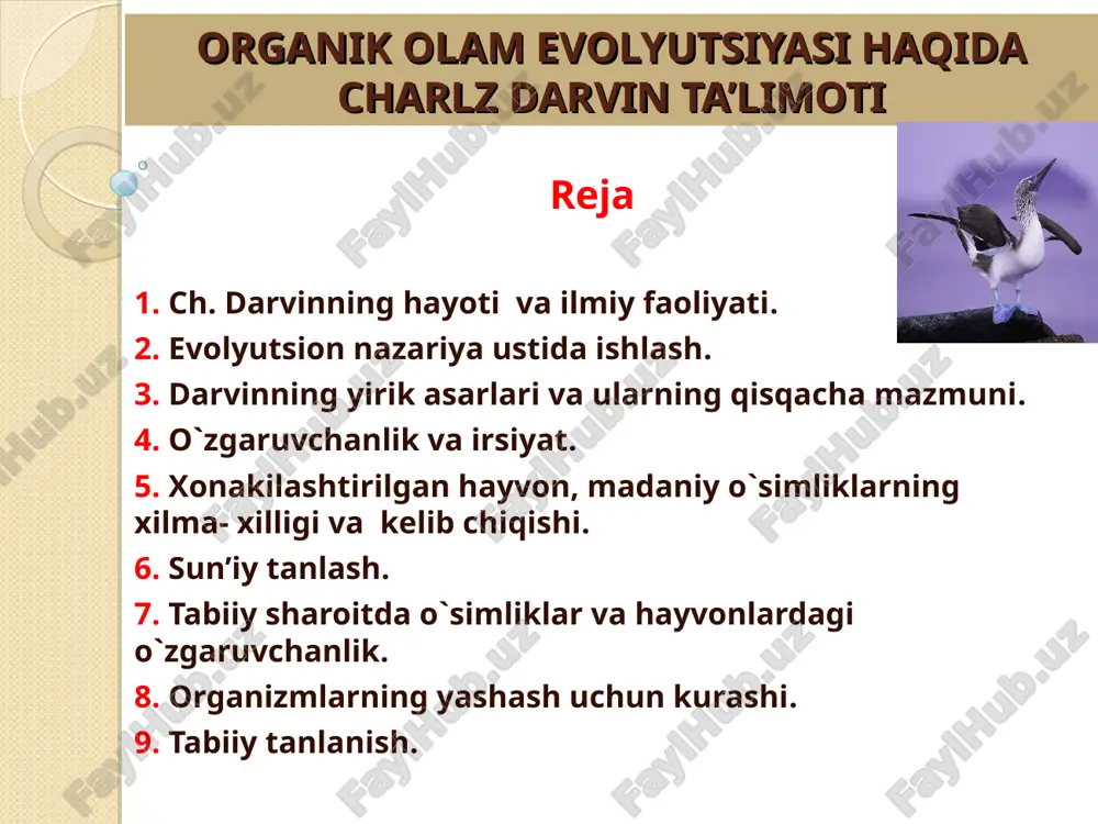 organik olam evolyutsiyasi haqida charlz darvin ta’limoti — PPT