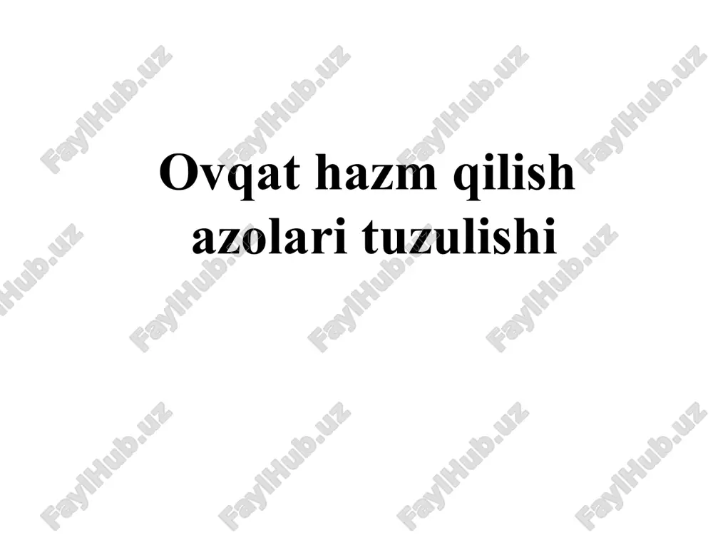 ovqat hazm qilish — PPT