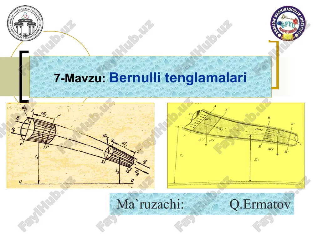 bernulli tenglamalari — PPT