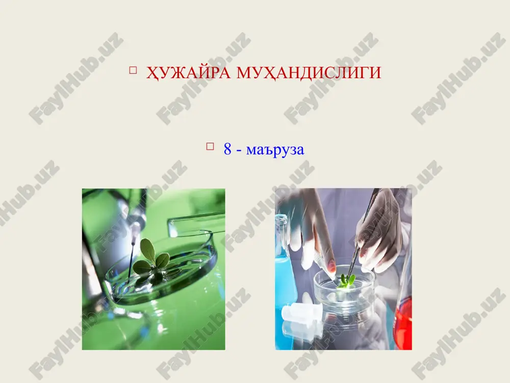 hujayra muhandisligi — PPT