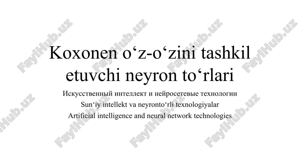 koxonen o‘z-o‘zini tashkil etuvchi neyron to‘rlari — PPT