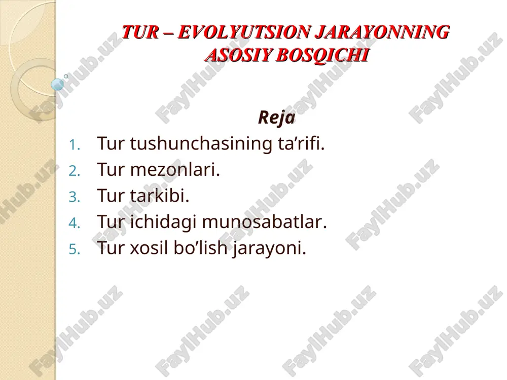 tur evolyutsiyasi — PPT