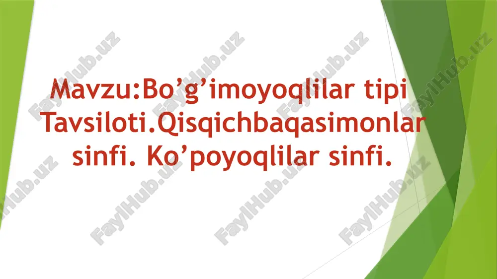 bo’g’imoyoqlilar — PPTX