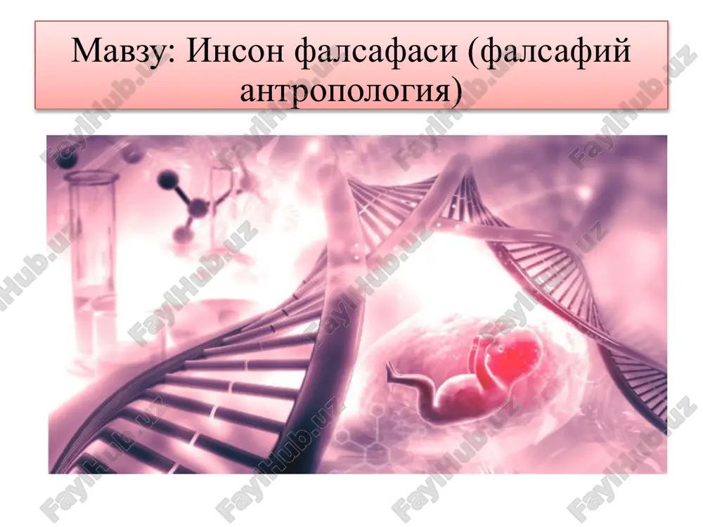 инсонфалсафаси (фалсафий антропология) — PPTX