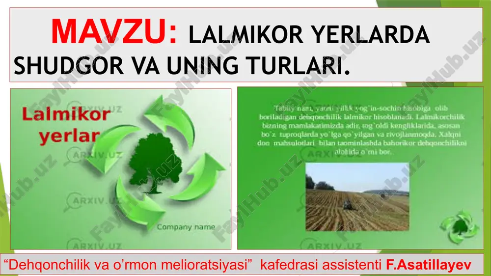 lalmikorlar va ularning turkumi — PPTX