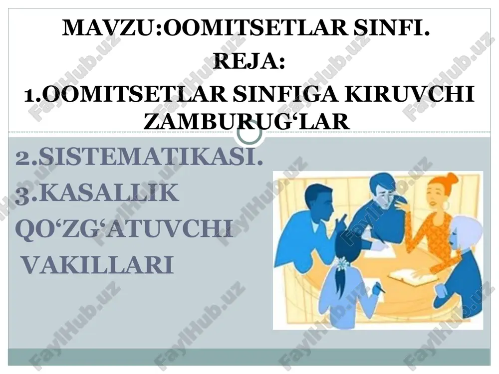 oomitsetlar sinfi — PPT