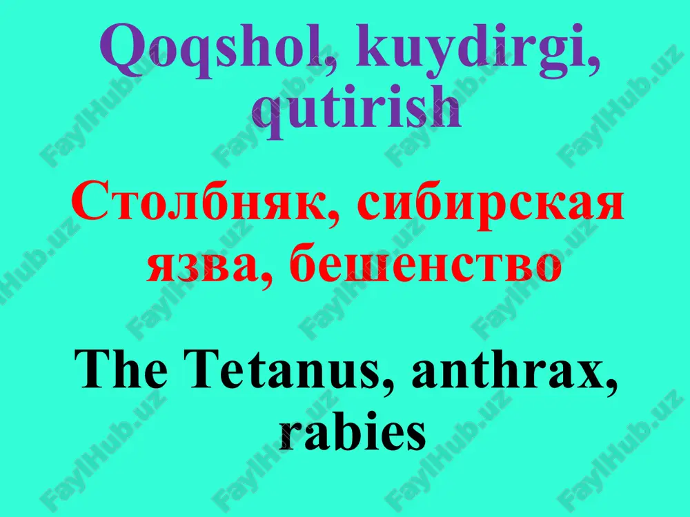 qoqshol — PPT