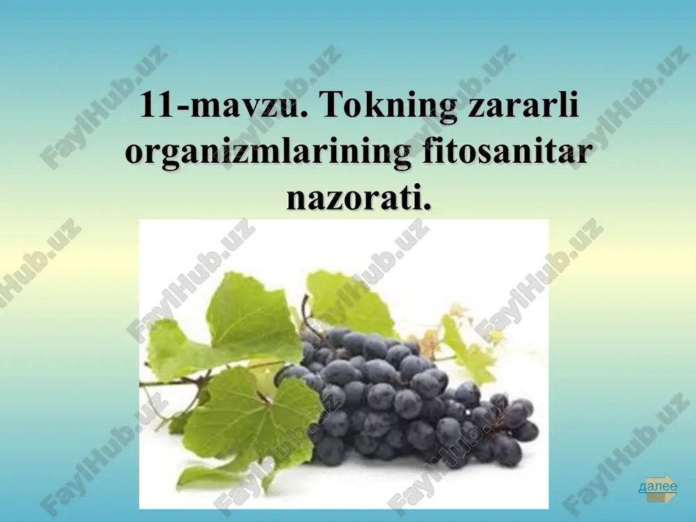 tokning zararli organizmlarining fitosanitar nazorati — PPT