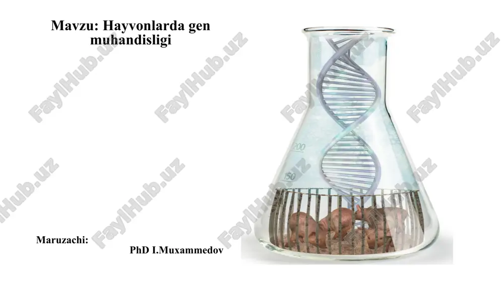 transgen hayvonlarning yaratilishi — PPTX
