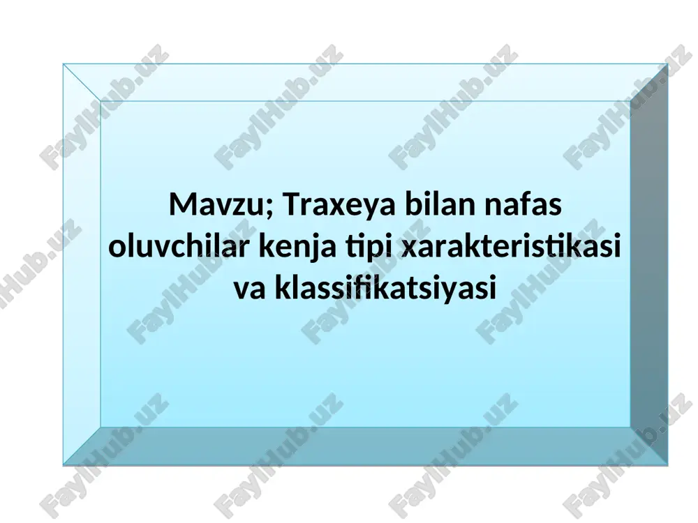 hasharotlar sinfi vakillari. — PPT