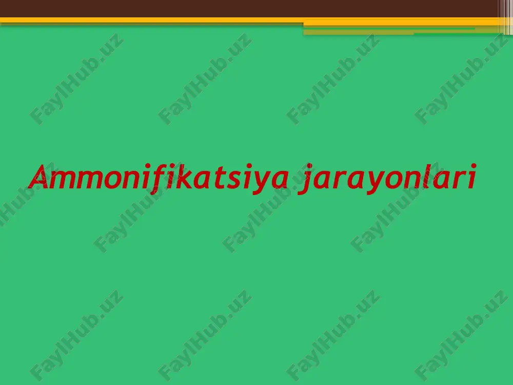 ammonifikatsiya jarayonlari — PPTX