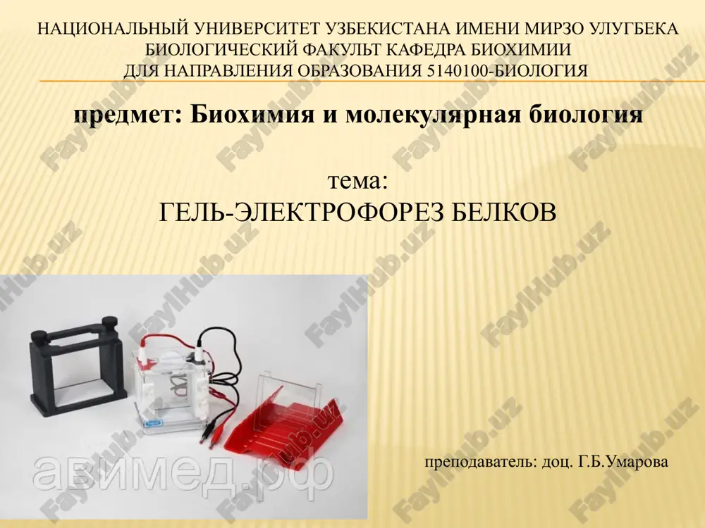 gel-elektroforez belkov — PPTX