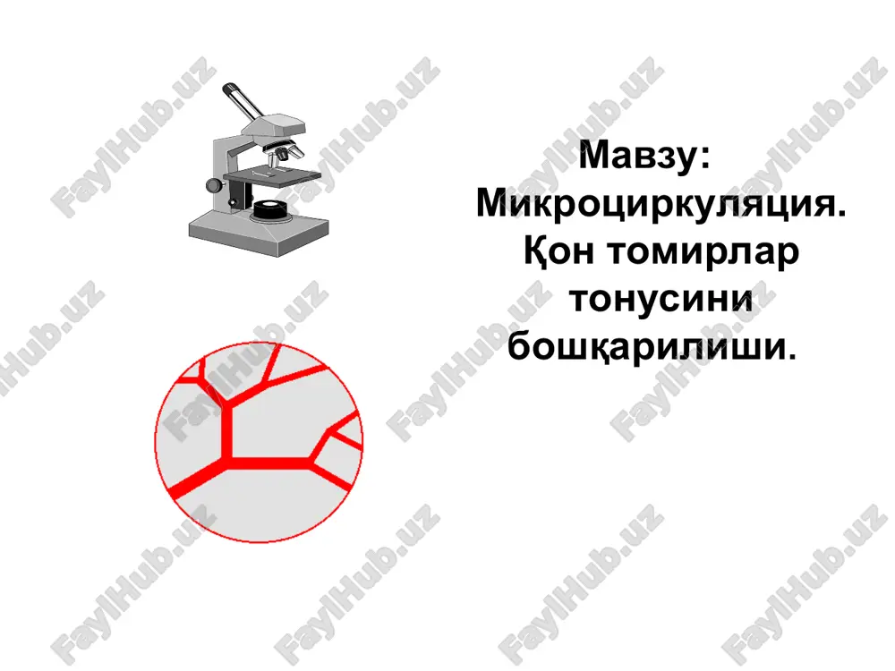 mikrosirkulyatsiya va qon tomirlar tonusini boshqarish — PPT