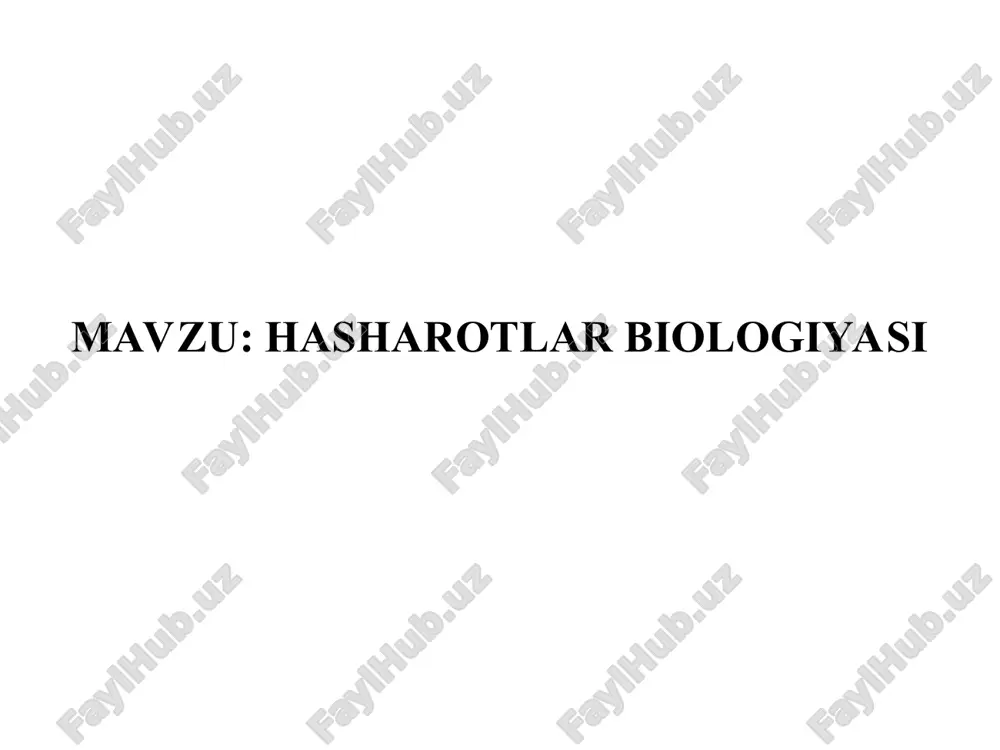 hasharotlar biologiyasi — PPT