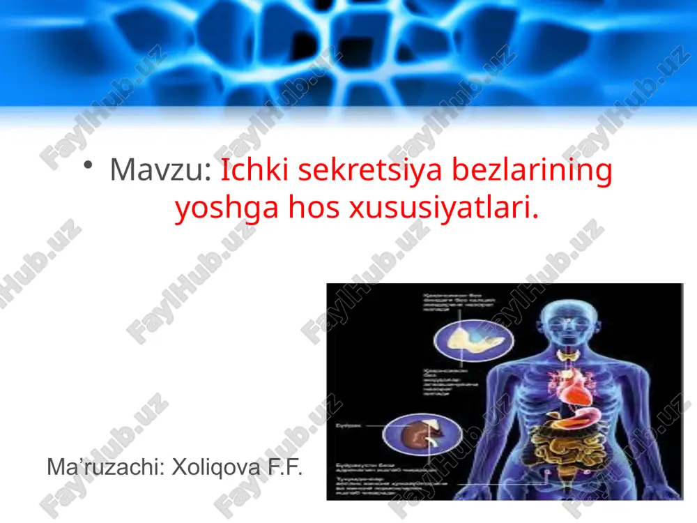 ichkisekretsiyabezlarining yoshga hos xususiyatlari — PPTX