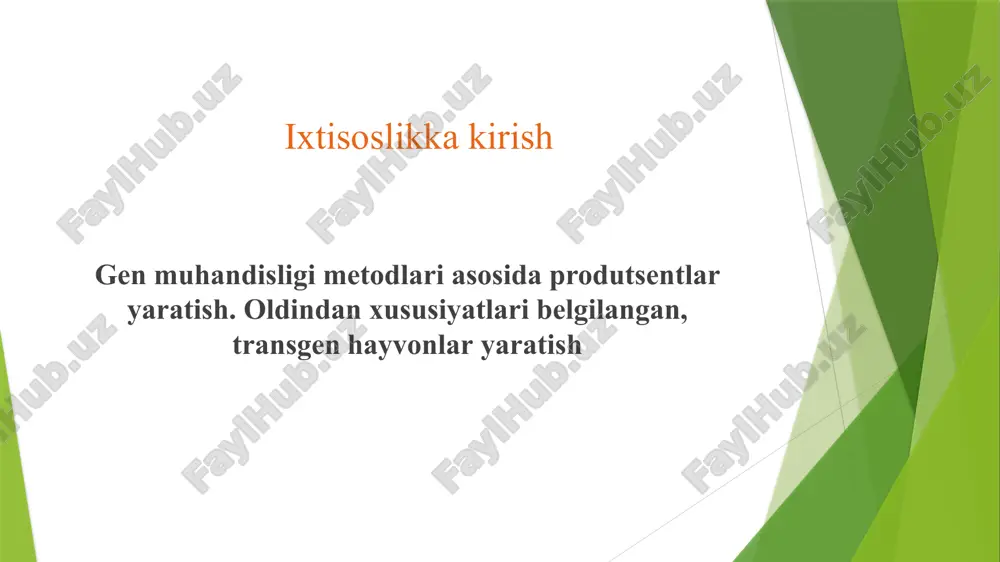transgen hayvonlarni yaratish — PPTX