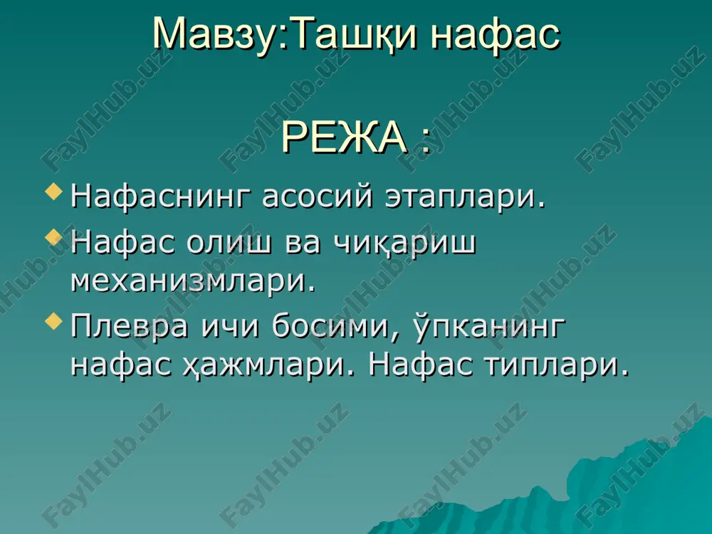 tashqi nafas — PPT