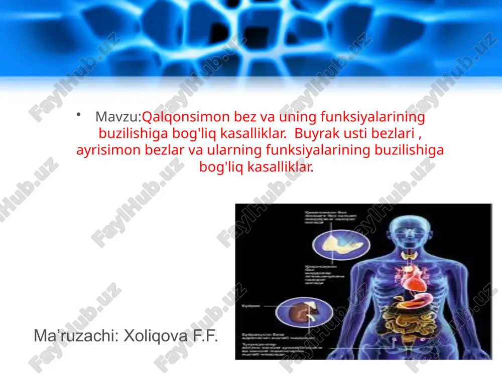 qalqonsimon bez va uning funksiyalari — PPTX