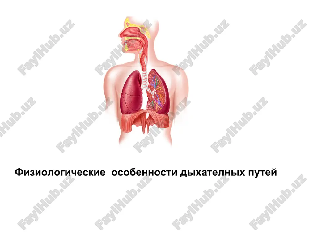 fiziyologik belgilar — PPT